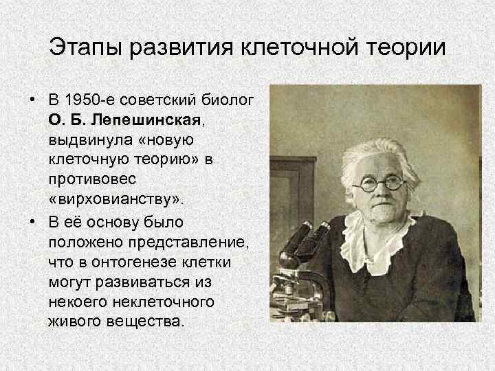  Этапы развития клеточной теории  • В 1950 -е советский биолог  О.