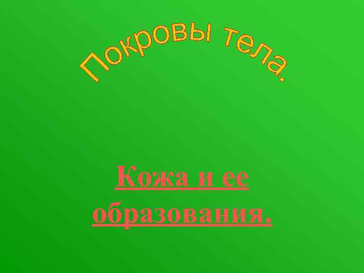  Кожа и ее образования. 