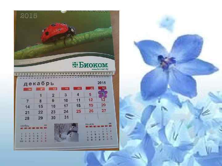  • календарь 