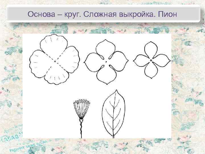 Основа – круг. Сложная выкройка. Пион 