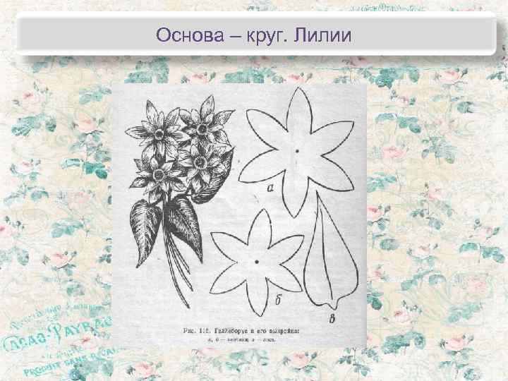 Основа – круг. Лилии 