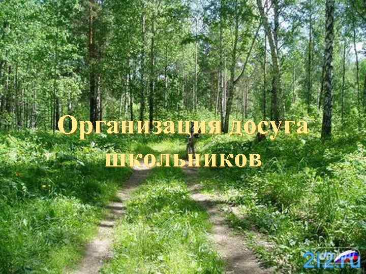 Организация досуга  школьников 