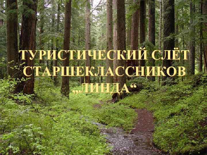 ТУРИСТИЧЕСКИЙ СЛЁТ СТАРШЕКЛАССНИКОВ  „ЛИНДА“ 