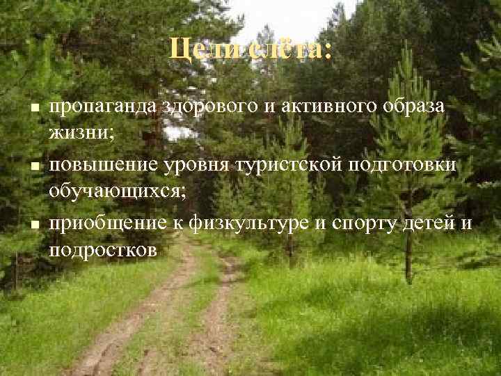     Цели слёта: n  пропаганда здорового и активного образа жизни;
