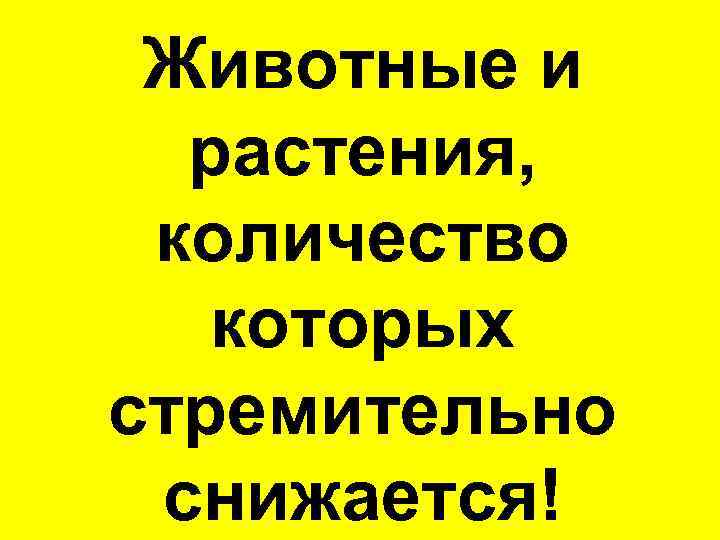 Животные и  растения,  количество которых стремительно  снижается! 