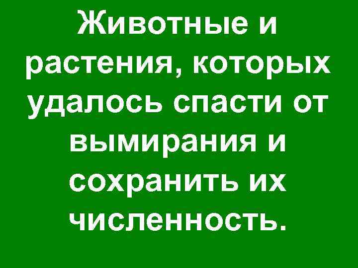   Животные и растения, которых удалось спасти от  вымирания и  сохранить