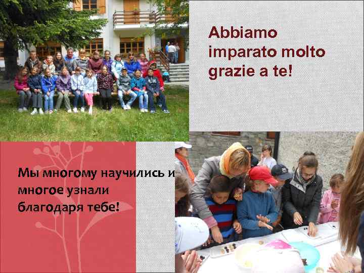      Abbiamo     imparato molto  