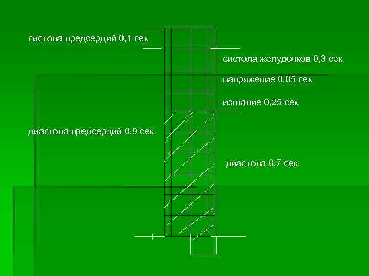 систола предсердий 0, 1 сек      систола желудочков 0, 3
