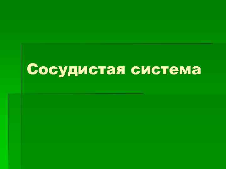 Сосудистая система 