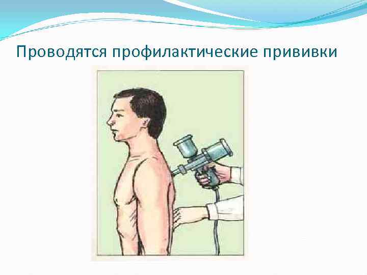 Проводятся профилактические прививки 