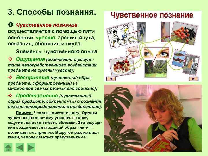 3. Способы познания.  Чувственное познание осуществляется с помощью пяти основных чувств: зрения, слуха,