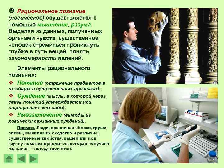  Рациональное познание (логическое) осуществляется с помощью мышления, разума. Выделяя из данных, полученных органами