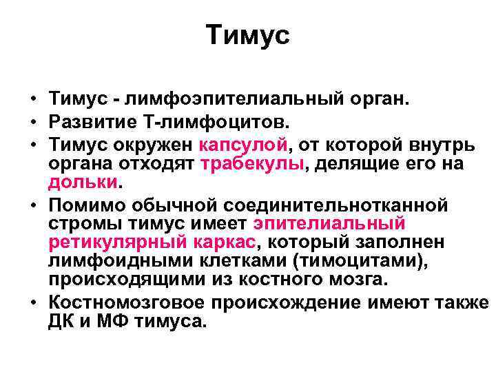     Тимус  • Тимус - лимфоэпителиальный орган.  • Развитие