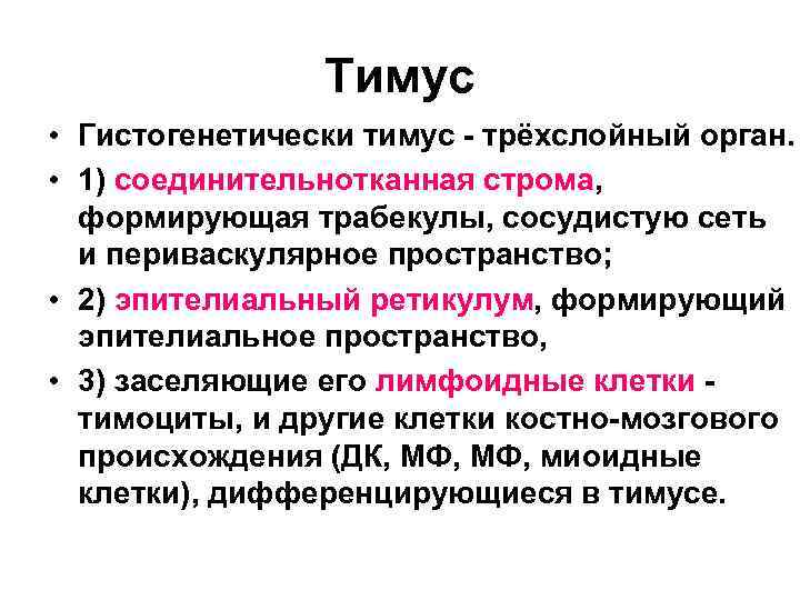    Тимус • Гистогенетически тимус - трёхслойный орган.  • 1)