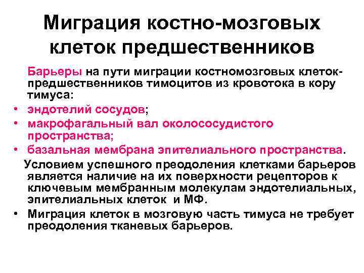  Миграция костно-мозговых  клеток предшественников Барьеры на пути миграции костномозговых клеток- предшественников тимоцитов