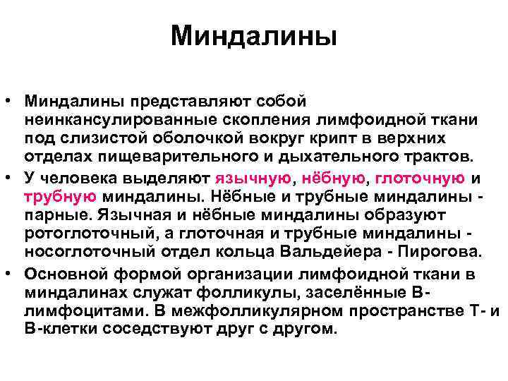     Миндалины  • Миндалины представляют собой  неинкансулированные скопления лимфоидной