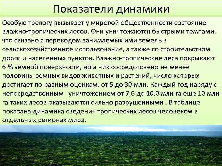    Показатели динамики Особую тревогу вызывает у мировой общественности состояние влажно-тропических лесов.