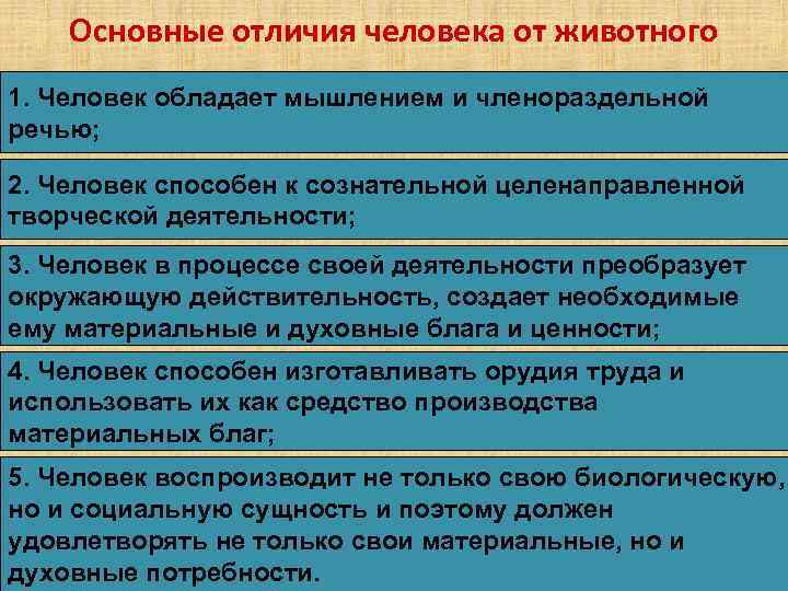   Основные отличия человека от животного 1. Человек обладает мышлением и членораздельной речью;