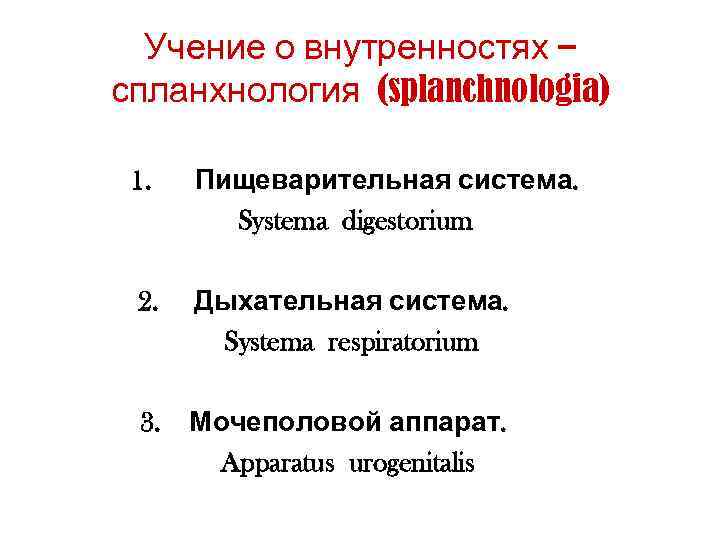  Учение о внутренностях – спланхнология (splanchnologia)  1.  Пищеварительная система.  