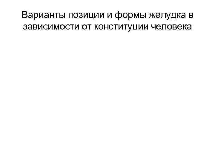 Варианты позиции и формы желудка в зависимости от конституции человека 