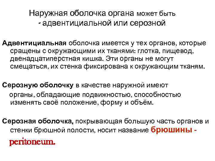   Наружная оболочка органа может быть   - адвентициальной или серозной Адвентициальная