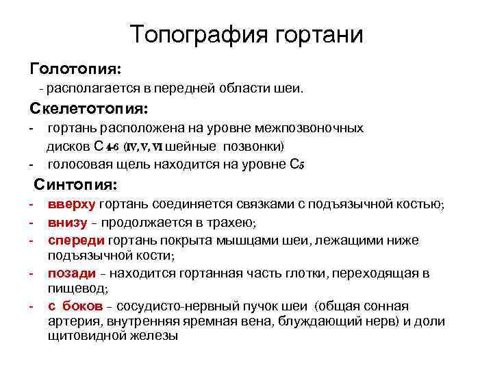 Голотопия скелетотопия. Гортань скелетотопия синтопия голотопия. Голотопия гортани топография. Топография гортани голотопия скелетотопия синтопия. Топография гортани скелетотопия.