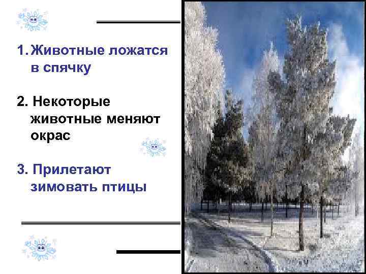 1. Животные ложатся  в спячку 2. Некоторые  животные меняют  окрас 3.