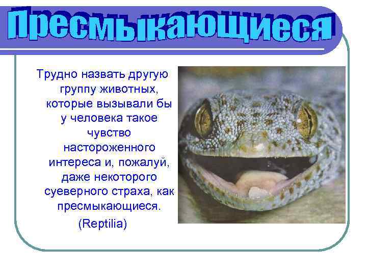 Трудно назвать другую группу животных,  которые вызывали бы у человека такое  