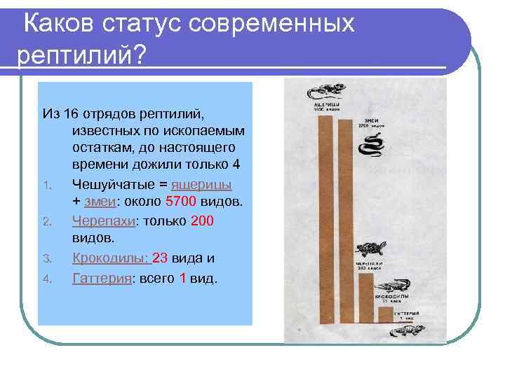 Каков статус современных рептилий?  Из 16 отрядов рептилий,  известных по ископаемым остаткам,