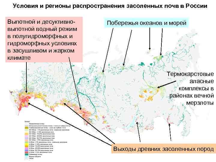 Условия и регионы распространения засоленных почв в России Выпотной и десуктивновыпотной водный режим в