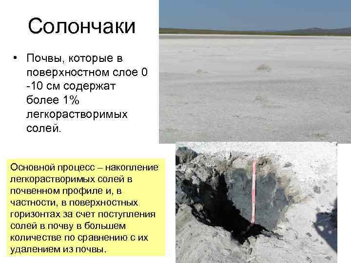 Солончаки • Почвы, которые в поверхностном слое 0 -10 см содержат более 1% легкорастворимых