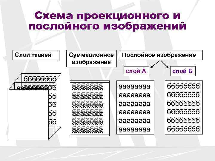  Схема проекционного и послойного изображений Слои тканей  Суммационное  Послойное изображение 