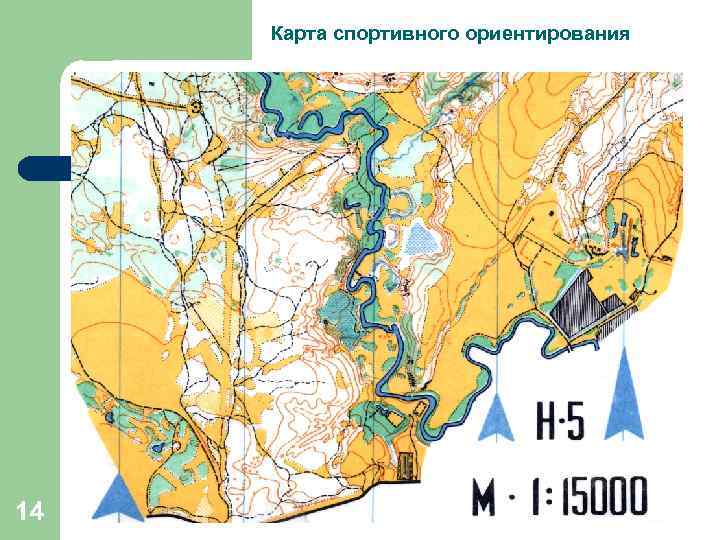  Карта спортивного ориентирования 14 