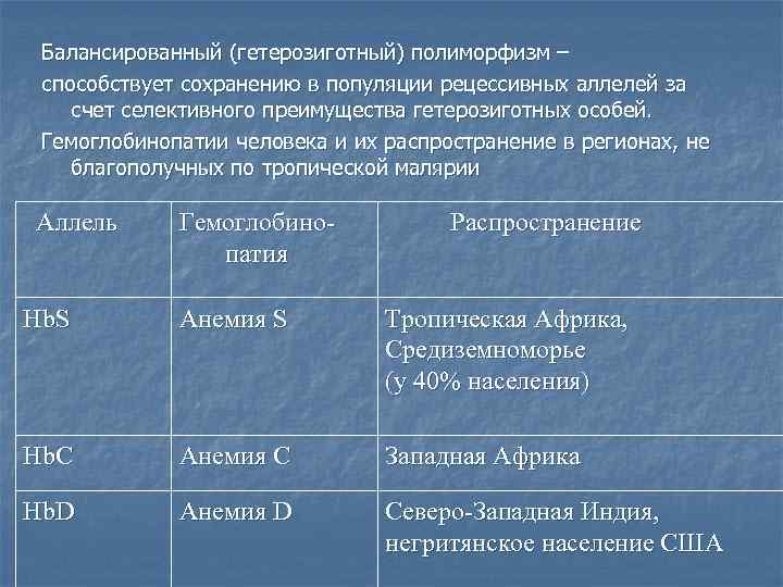  Балансированный (гетерозиготный) полиморфизм – способствует сохранению в популяции рецессивных аллелей за счет селективного