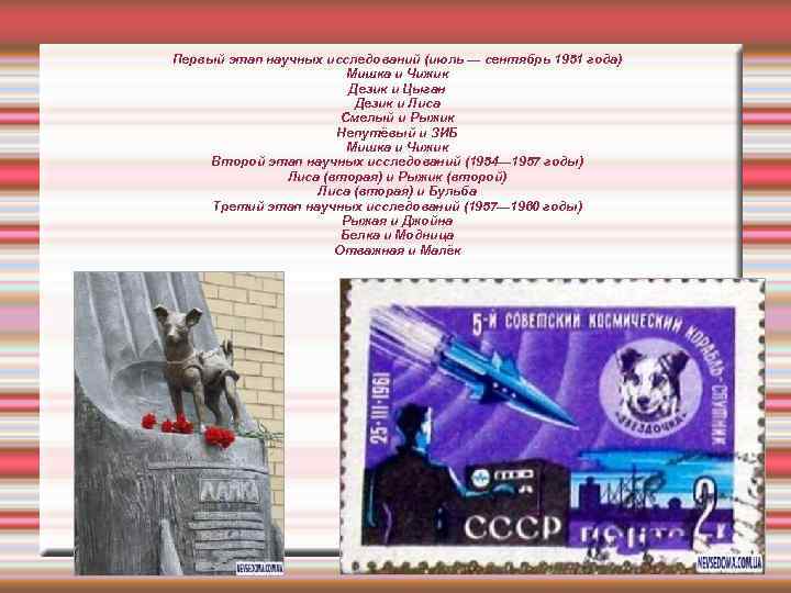 Первый этап научных исследований (июль — сентябрь 1951 года)     Мишка