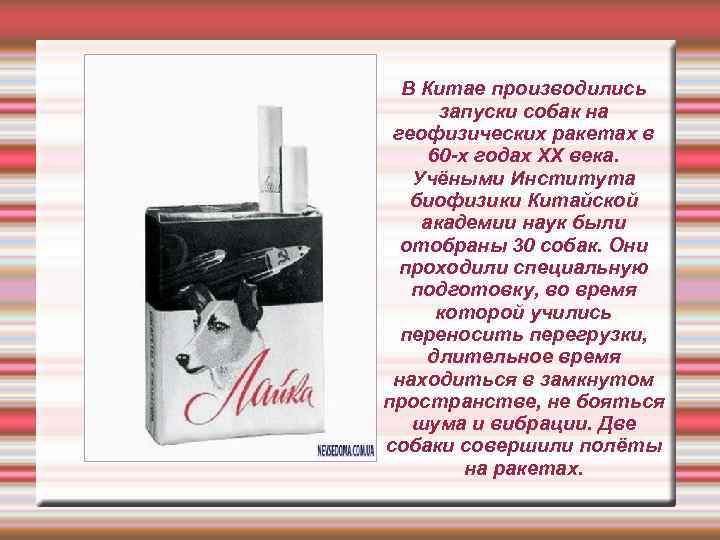  В Китае производились  запуски собак на геофизических ракетах в 60 -х годах