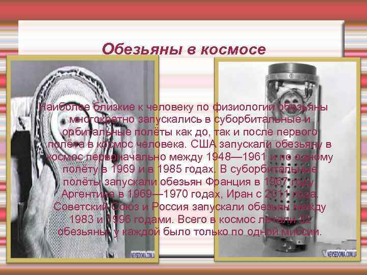    Обезьяны в космосе  Наиболее близкие к человеку по физиологии обезьяны