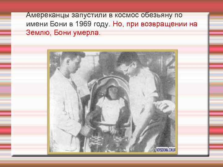 Амереканцы запустили в космос обезьяну по имени Бони в 1969 году. Но, при возвращении