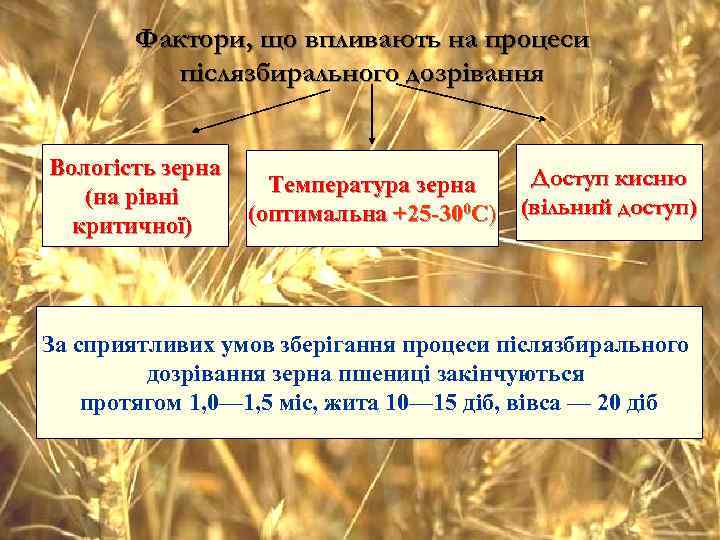   Фактори, що впливають на процеси  післязбирального дозрівання  Вологість зерна 