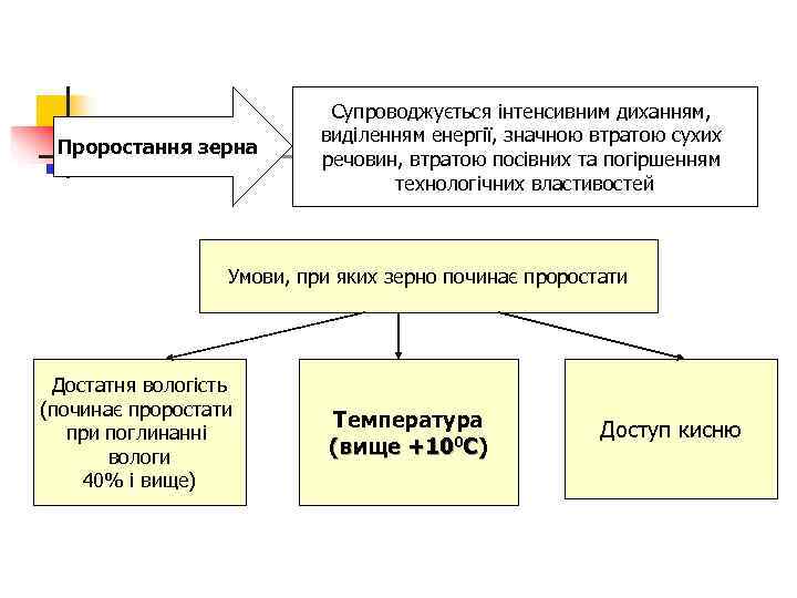       Супроводжується інтенсивним диханням,     виділенням