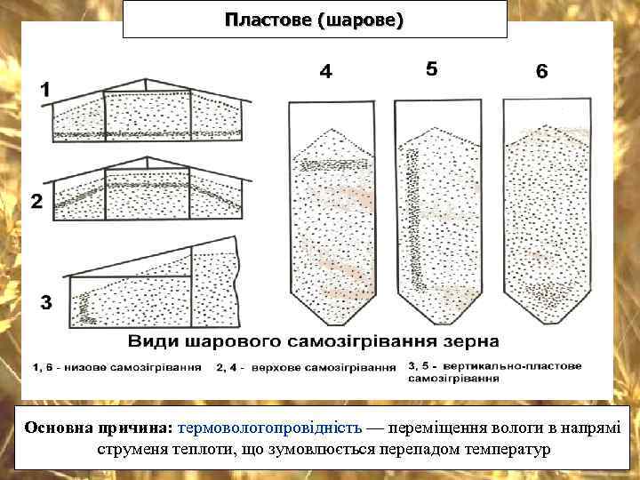     Пластове (шарове) Основна причина: термовологопровідність — переміщення вологи в напрямі