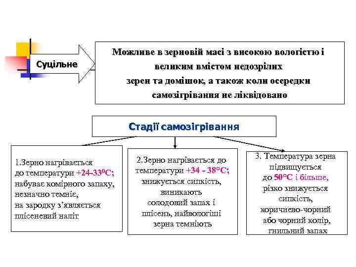     Можливе в зерновій масі з високою вологістю і  Суцільне