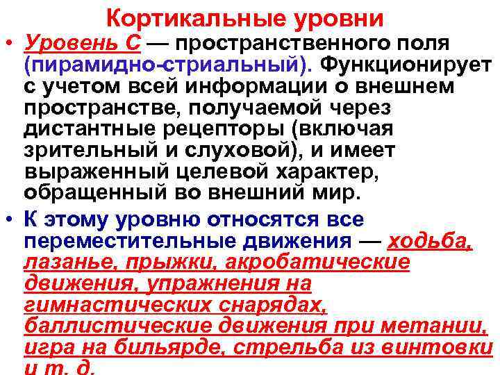   Кортикальные уровни • Уровень С — пространственного поля  (пирамидно-стриальный). Функционирует 