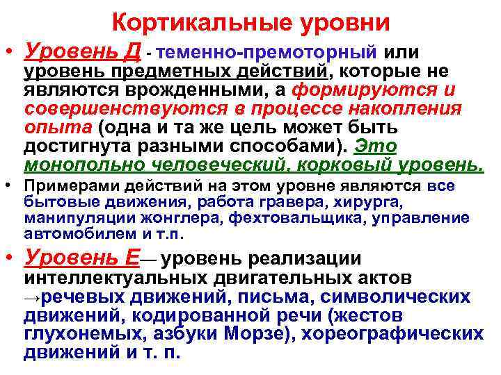   Кортикальные уровни • Уровень Д - теменно-премоторный или уровень предметных действий, которые