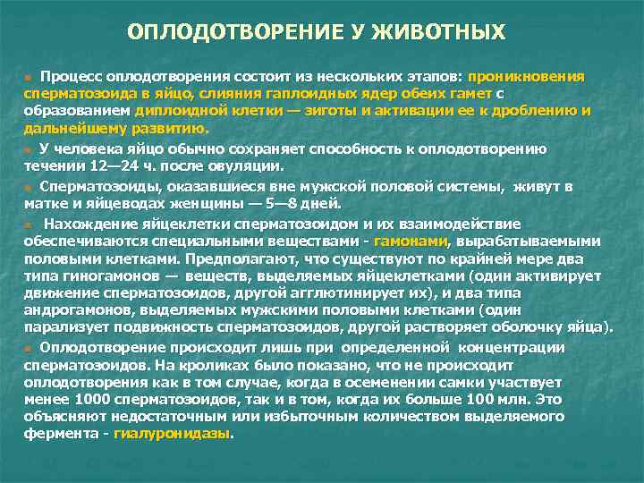 ОПЛОДОТВОРЕНИЕ У ЖИВОТНЫХ n Процесс оплодотворения состоит из нескольких этапов: проникновения сперматозоида ОПЛОДОТВОРЕНИЕ У ЖИВОТНЫХ n Процесс оплодотворения состоит из нескольких этапов: проникновения сперматозоида