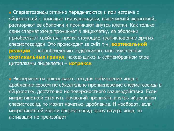 n Сперматозоиды активно передвигаются и при встрече с яйцеклеткой с помощью гиалуронидазы, выделяемой акросомой, n Сперматозоиды активно передвигаются и при встрече с яйцеклеткой с помощью гиалуронидазы, выделяемой акросомой,