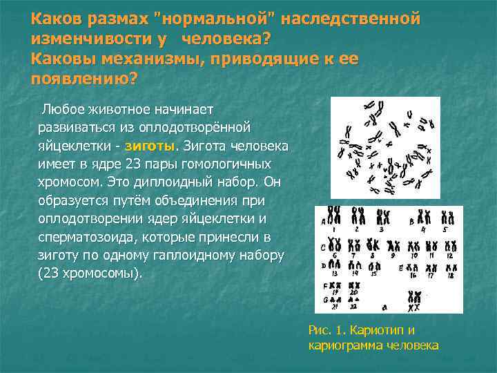 Каков размах Каков размах