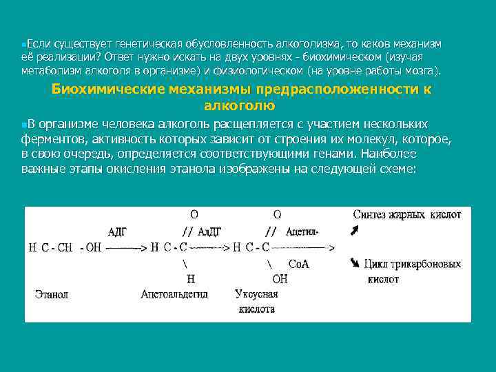 n. Если существует генетическая обусловленность алкоголизма, то каков механизм её реализации? Ответ нужно искать