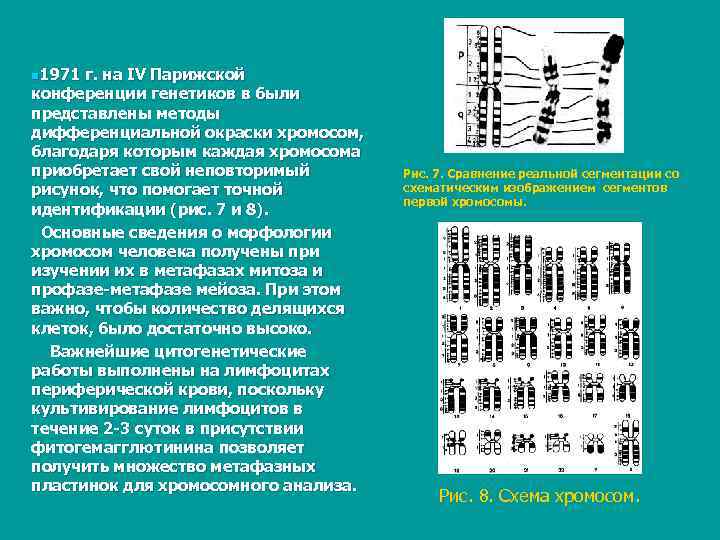 n 1971 г. на IV Парижской конференции генетиков в были представлены методы дифференциальной окраски