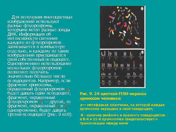  Для получения многоцветных изображений используют разные флуорохромы, которыми метят разные зонды ДНК. Информация